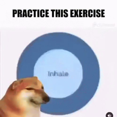 A Dog Is Sitting In Front Of A Blue Circle That Says `` Practice This Exercise '' . GIF