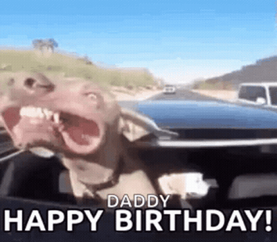 A Dog Is Sitting In The Driver 'S Seat Of A Car And Making A Funny Face . GIF