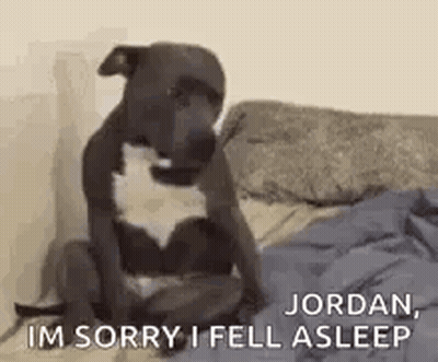 A Dog Is Sitting On A Bed And Saying `` Jordan , I 'M Sorry I Fell Asleep '' GIF