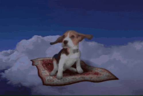 A Dog Is Sitting On A Carpet In The Clouds GIF
