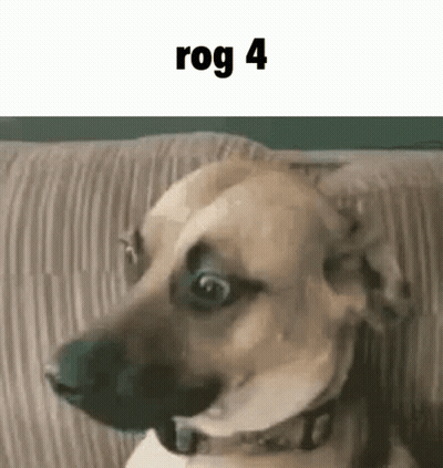 A Dog Is Sitting On A Couch And Making A Funny Face With Its Mouth Open . GIF