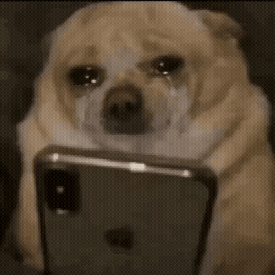 A Dog Is Sitting On A Couch Looking At A Cell Phone And Crying . GIF