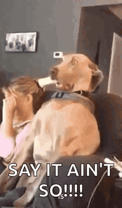 A Dog Is Sitting On A Couch Next To A Woman . GIF