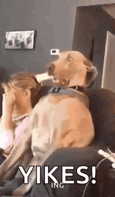 A Dog Is Sitting On A Couch Next To A Woman Who Is Covering Her Face With Her Hands . GIF