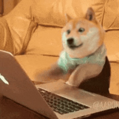 A Dog Is Sitting On A Couch Using A Laptop . GIF