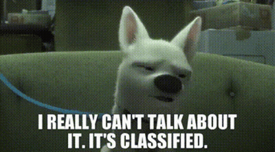 A Dog Is Sitting On A Couch With The Words " I Really Can 'T Talk About It It 'S Classified " Below It GIF