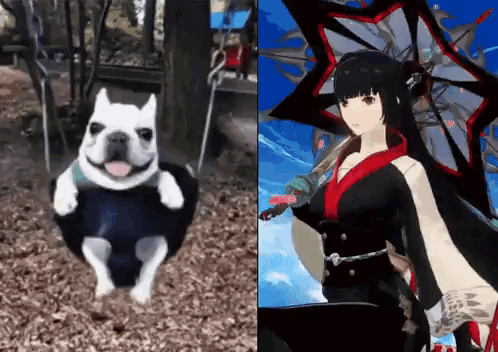 A Dog Is Sitting On A Swing Next To A Picture Of A Girl Holding An Umbrella GIF