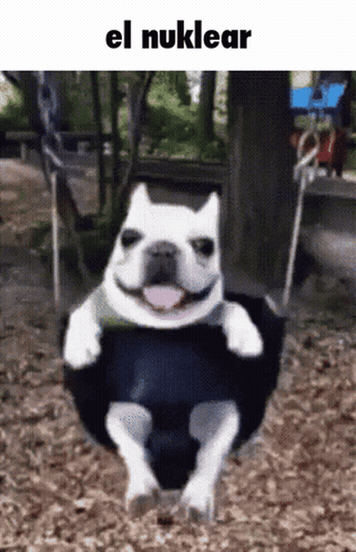 A Dog Is Sitting On A Swing With The Words El Nuklear Below It GIF