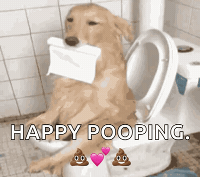 A Dog Is Sitting On A Toilet With A Roll Of Toilet Paper In Its Mouth And The Words Happy Pooping Above It GIF