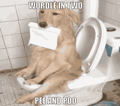 A Dog Is Sitting On A Toilet With A Roll Of Toilet Paper In Its Mouth And The Words Wordle In Two Pee And Poo Below It GIF