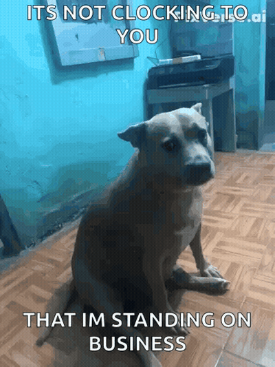 A Dog Is Sitting On The Floor With A Caption That Says It 'S Not Clocking To You That Im Standing On Business GIF