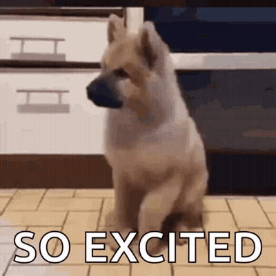 A Dog Is Sitting On The Floor With The Words So Excited Above It . GIF
