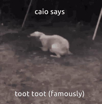 A Dog Is Sitting On The Ground With The Words `` Caio Says Toot Toot ( Famously ) '' Written Above It . GIF