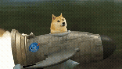 A Dog Is Sitting On Top Of A Rocket With The Earth Sticker On It GIF