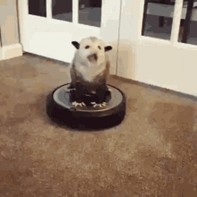 A Dog Is Sitting On Top Of A Vacuum Cleaner On A Carpet . GIF