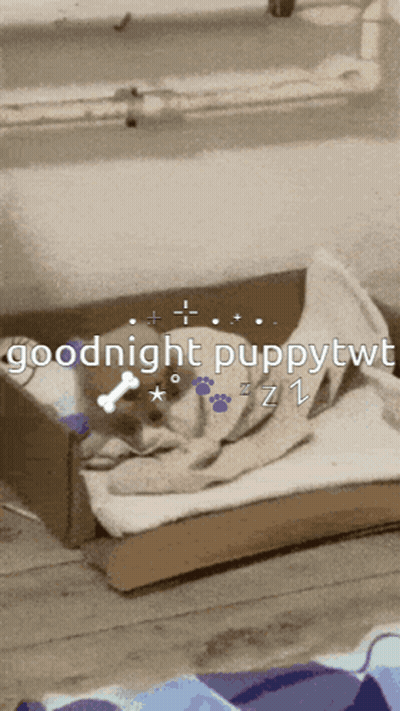 A Dog Is Sleeping In A Cardboard Box With The Words " Goodnight Puppytwt " On The Bottom GIF