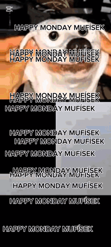 A Dog Is Smiling And Saying Happy Monday Mufisek GIF