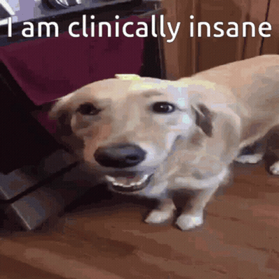 A Dog Is Smiling With The Words " I Am Clinically Insane " On The Bottom GIF