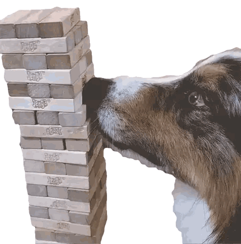 A Dog Is Sniffing A Jenga Tower With Its Nose Sticker