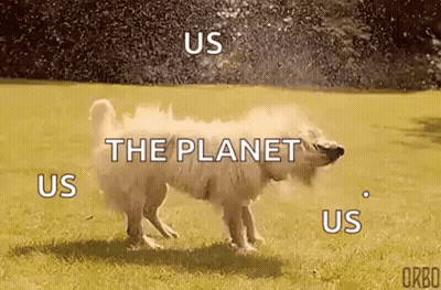 A Dog Is Spraying Water On Itself In A Field With The Words `` Us The Planet Us Us '' . GIF