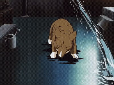 A Dog Is Standing In A Dark Room With A Watering Can On The Wall GIF