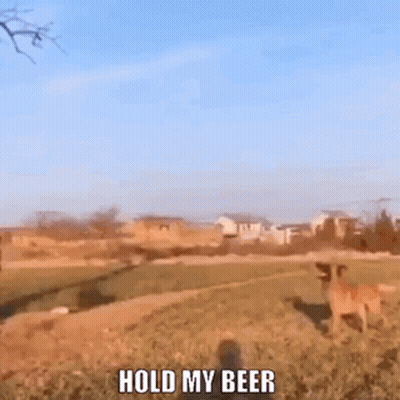 A Dog Is Standing In A Field With The Words Hold My Beer Above It GIF