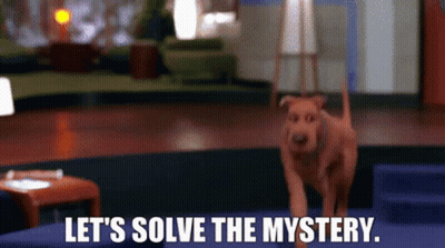 A Dog Is Standing In A Room With The Words `` Let 'S Solve The Mystery '' Written Above It . GIF