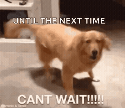 A Dog Is Standing In A Room With The Words `` Until The Next Time Cant Wait !!! '' GIF