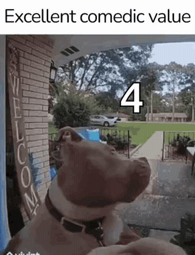 A Dog Is Standing In Front Of A Brick Building With A Sign That Says Welcome . GIF