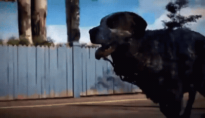 A Dog Is Standing In Front Of A Fence With A Statue In The Background GIF