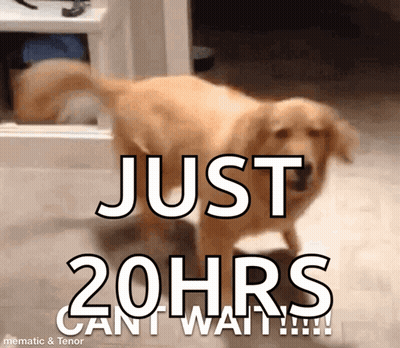 A Dog Is Standing In Front Of A Sign That Says Just 20Hrs Can I Wait GIF