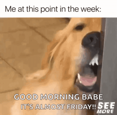 A Dog Is Standing Next To A Door With Its Mouth Open And Says `` Good Morning Babe It 'S Almost Friday '' . GIF