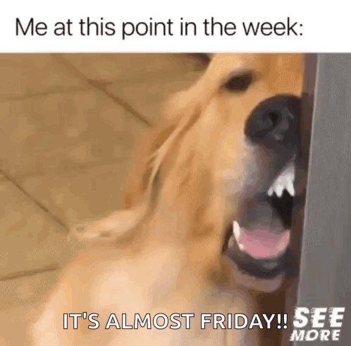 A Dog Is Standing Next To A Door With Its Mouth Open And Yawning . GIF
