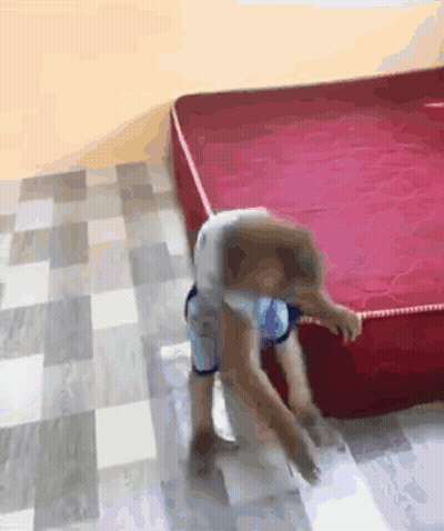 A Dog Is Standing On A Red Mattress On A Checkered Floor GIF