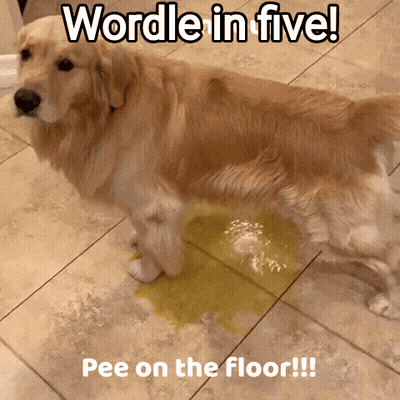 A Dog Is Standing On A Tiled Floor With A Puddle Of Yellow Liquid On The Floor GIF