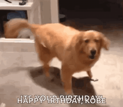 A Dog Is Standing On Its Hind Legs In A Room And Says `` Happy Birthday , Kobe '' . GIF