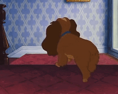 A Dog Is Standing On Its Hind Legs In A Room . GIF
