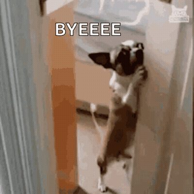 A Dog Is Standing On Its Hind Legs In Front Of A Door And Saying Byeeee GIF