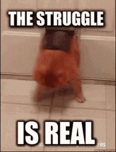 A Dog Is Standing On Its Hind Legs In Front Of A Door With The Words The Struggle Is Real On It . GIF