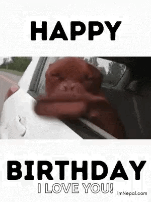 A Dog Is Sticking Its Head Out Of A Car Window And Says `` Happy Birthday I Love You '' . GIF