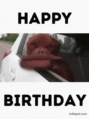 A Dog Is Sticking Its Head Out Of A Car Window With The Words Happy Birthday Above It GIF