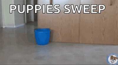 A Dog Is Sweeping The Floor Next To A Blue Bucket And A Mop . GIF