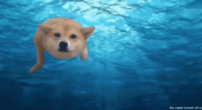 A Dog Is Swimming In The Ocean With The Words " The Cable Turned Off " Below It GIF