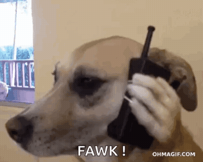 A Dog Is Talking On A Walkie Talkie And Saying Fawk . GIF