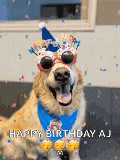 A Dog Is Wearing A Birthday Hat And Sunglasses And Says Happy Birthday Aj GIF