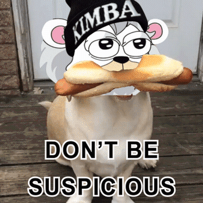 A Dog Is Wearing A Kimba Hat And Holding A Hot Dog In Its Mouth GIF