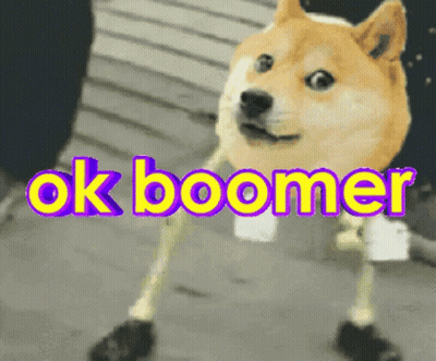 A Dog Is Wearing A Pair Of Yellow Socks And Says Ok Boomer GIF