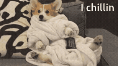 A Dog Is Wrapped In A Blanket And Holding A Remote Control GIF