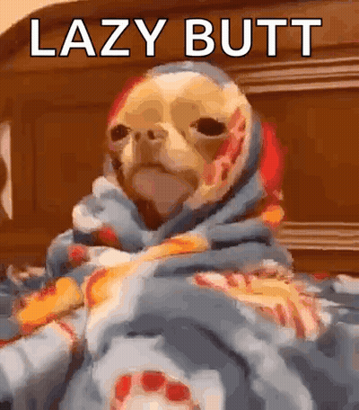 A Dog Is Wrapped In A Blanket And Says Lazy Butt On The Bottom GIF