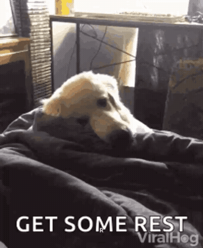 A Dog Is Wrapped In A Blanket With The Words Get Some Rest Viralhog On The Bottom GIF